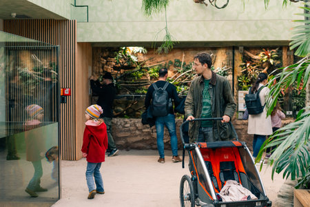 Malaysia Tapir in National Zoo Leipzig Germany. High quality photoのeditorial素材