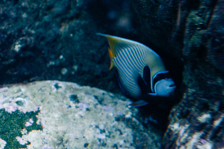 Leipzig German - 3 nov 2025 Aquarium of zoo Leipzig. High quality photo