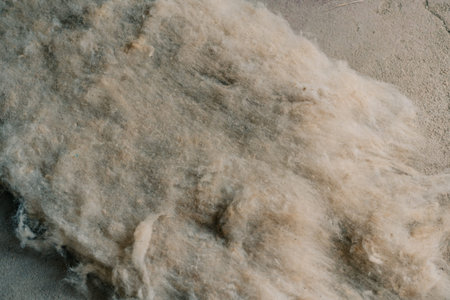 fragment of wool for felting and making products. hands. High quality 4k footageの写真素材