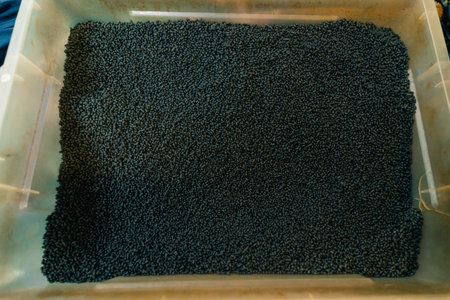 Bishkek, Kyrgyzstan October 15, 2024 Osh Bazaar. Osh Bazaar is one of the biggest bazaar in Kyrgyzstan. High quality photoの写真素材