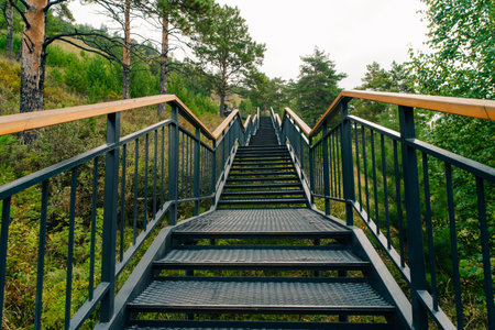 tourist trail in the mountains. stairs in the national park. stairs to the mountain. High quality photoの写真素材