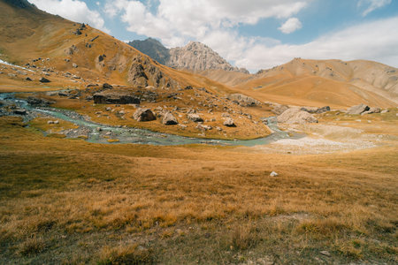 River coming from Kel-Suu mountain range, Kurumduk valley, Naryn province, Kyrgyzstan, Central Asia. High quality photoの写真素材