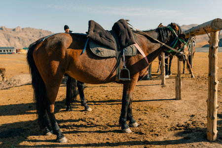 Kurumduk valley, Naryn province, Kyrgyzstan, Central Asia. High quality photoの写真素材