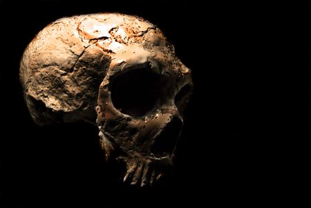 Scary skull in a black backgroundの写真素材