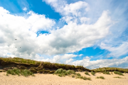 A summer day at Brittas Bay  Wicklow Ireland  の写真素材