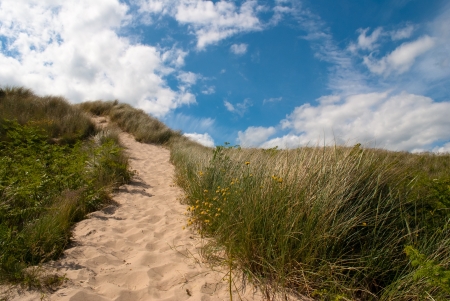 A summer day at Brittas Bay  Wicklow Ireland  の写真素材