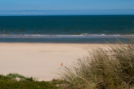 A summer day at Brittas Bay  Wicklow Ireland  の写真素材
