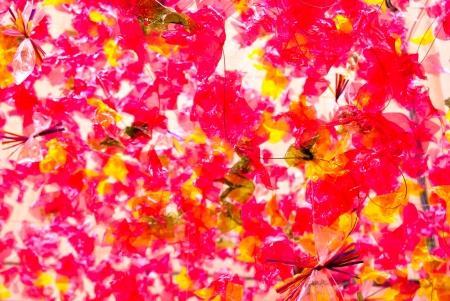 Colorful abstract designs for backgrounds. の写真素材