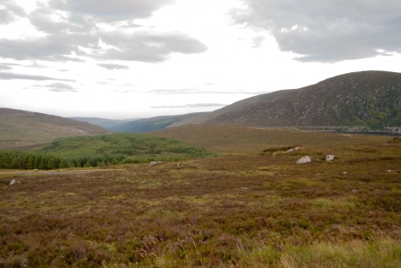 Wiclow Mountains in Ireland. Natural and green landscape.の写真素材