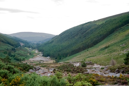 Wiclow Mountains in Ireland. Natural and green landscape.の写真素材