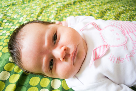 Newborn baby under three months oldの写真素材