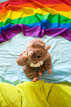 Baby bear and a rainbowの写真素材