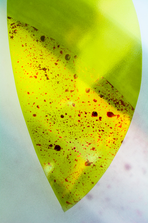 Colorful painted glass. Handmade work ideal for abstract backgrounds.の写真素材