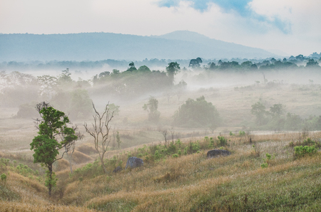 Khao Yai National Parkの写真素材