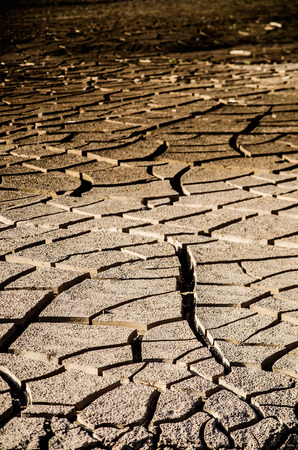 dry seasonの写真素材