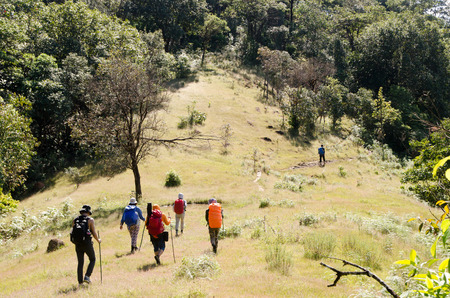 Group of Mountaineer Walking on deep forestの写真素材