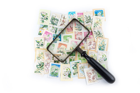 A stamp printed in Japan shows white flower collection.