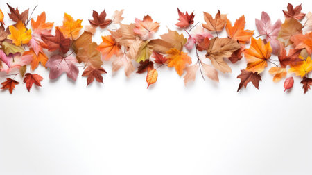 Embrace the autumnal charm with this decorative frame adorned by a beautiful fall leaves border. The vibrant hues of autumn create an artistic and nature-inspired design, perfect for enhancing the seasonal ambiance in your creative projects.の素材