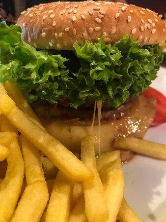hamburgerの写真素材