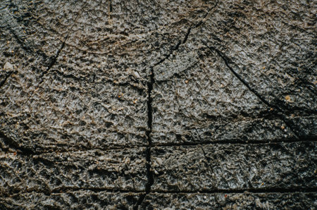 Wooden gnarl, Wood texture background and crack on the surface of the cut wood, old log.の写真素材