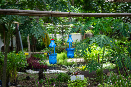 Portulaca Grandiflora flowers in bottle hanging. It's growing flowers from recycle plastic bottles.の写真素材