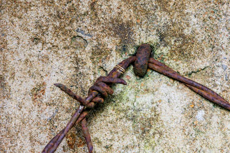 Close up of rusty wasting barb-wired on the concrete pole in graden, nature background.の写真素材