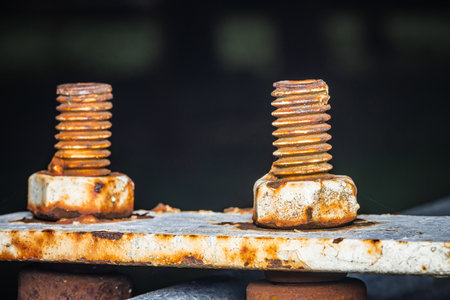 Close-up of rusty on nut and bolt isolated of metal roller, Roller suport steel door, Selective focus.の写真素材
