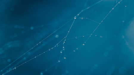 Dew drops on spider web with blurred background and bokeh, Abstract and nature background, Macro and Close up photo, Selective focus.の写真素材