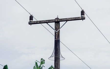 Nylon mesh or snake guard net around electric pole for protect animals climbing with sky backgroundの写真素材