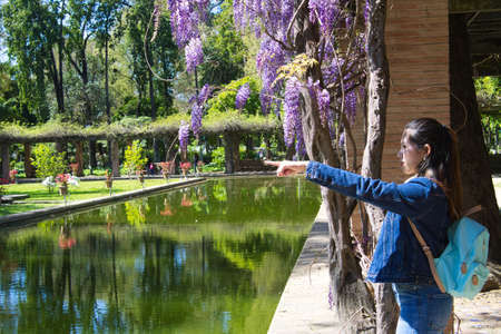 young and beautiful asian girl in a park with purple flowers and green vegetation. There is a pond with fish. The girl points with her index finger in the distanceの写真素材