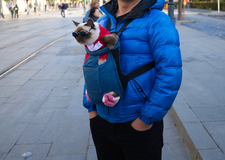A man sightseeing with his cat wearing sunglasses in Seville. Concept animals and pets.の写真素材