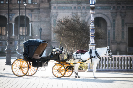 Horse carriage in seville spain for tourists. White horses and typical Spanish horses. Travel and holiday concept.の写真素材