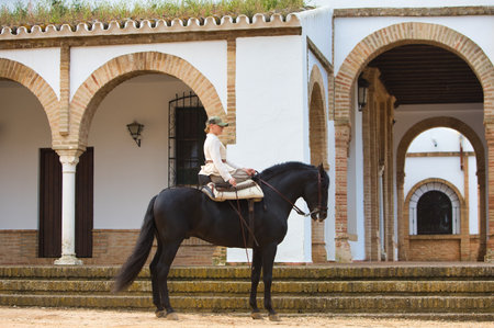 Young and beautiful woman riding a purebred Spanish black horse in a popular festival in Andalusia in Spain. The woman is dressed in typical horsewoman costume. In the background the hermitageの写真素材