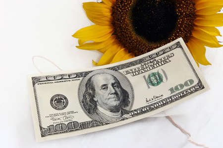 Earn money from the earthの写真素材