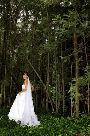 A bride walking in the forestの写真素材