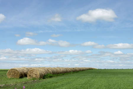 A landscape scene of field at a farm   