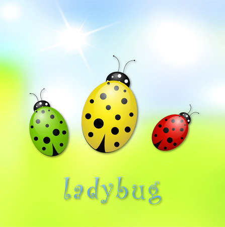 ladybugのイラスト素材