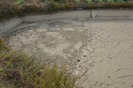 Dry pondの写真素材
