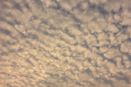 the beautiful fluffy clouds evening sky