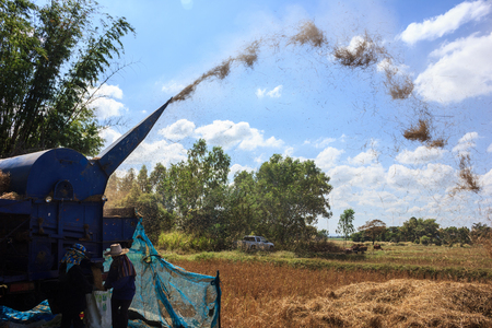farmers living rice bags were taken to the barnの写真素材