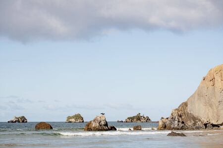 A cormorant bird sunning himself on a rock in Walkerville Victoria Australia