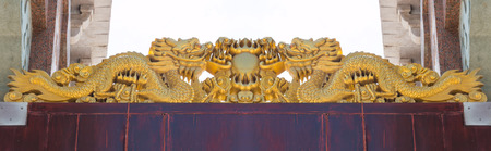 Golden Chinese Dragon on white Backgroundの写真素材