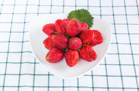Strawberries and leaf in disk on a white backgroundの写真素材
