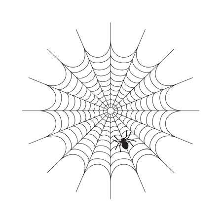 Abstract Spiderweb on white  vectorのイラスト素材