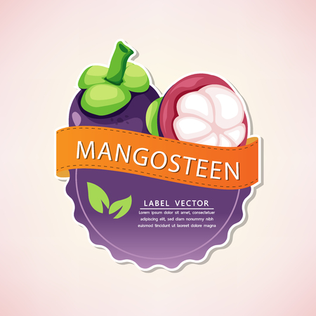 The mangosteen fruit label, fruit native to Thailand, vector illustrationのイラスト素材