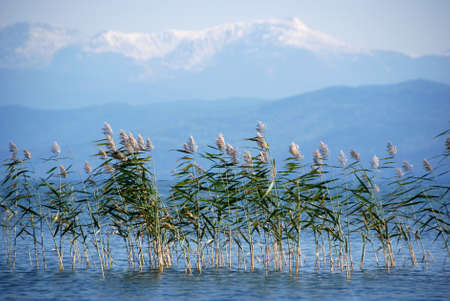 water and mountainsの写真素材