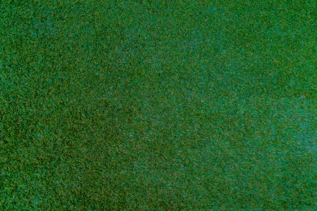 Artificial grassの写真素材