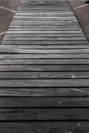 wood pathの写真素材