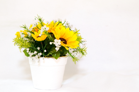 sunflowers in a vase and space for textの写真素材