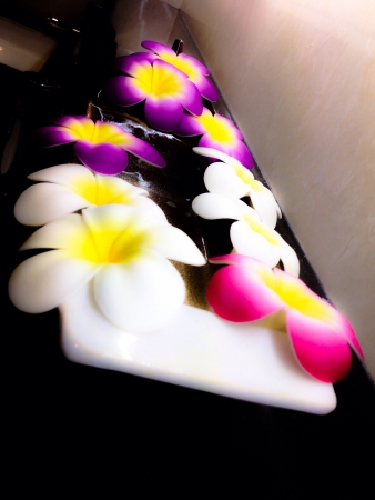 Frangipani flowers